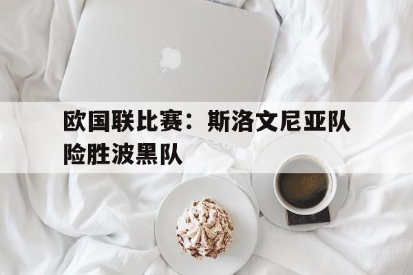 欧国联比赛：斯洛文尼亚队险胜波黑队的简单介绍